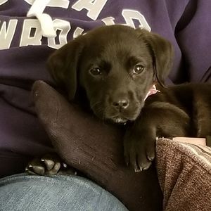 Meet your Posher, Tracy